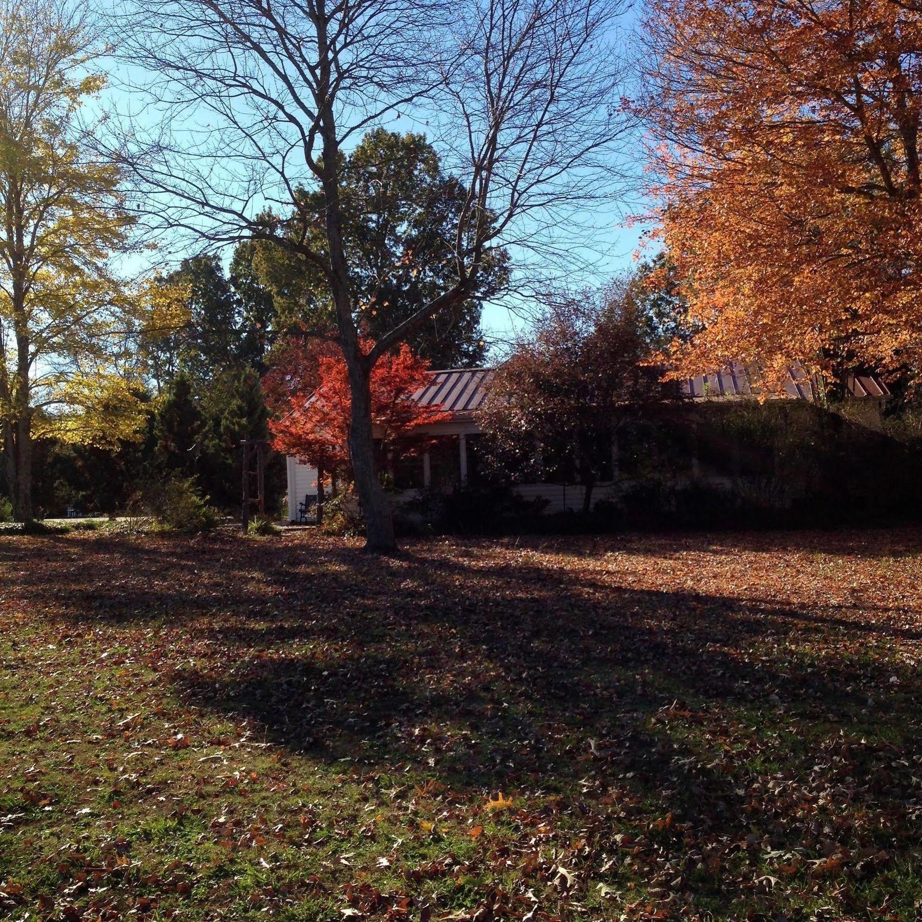 Meadow View Farm Bed & Breakfast Hernando Exterior photo