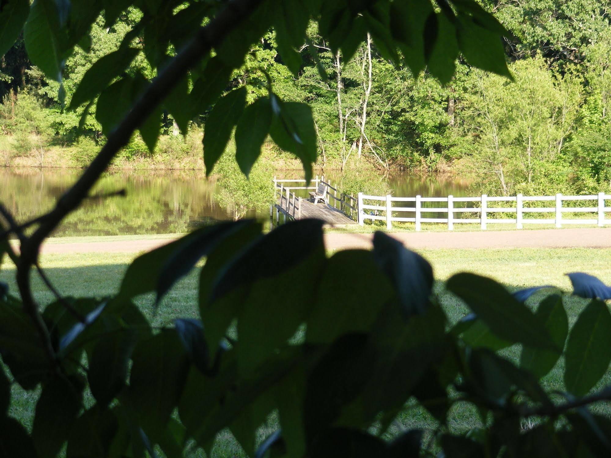 Meadow View Farm Bed & Breakfast Hernando Exterior photo